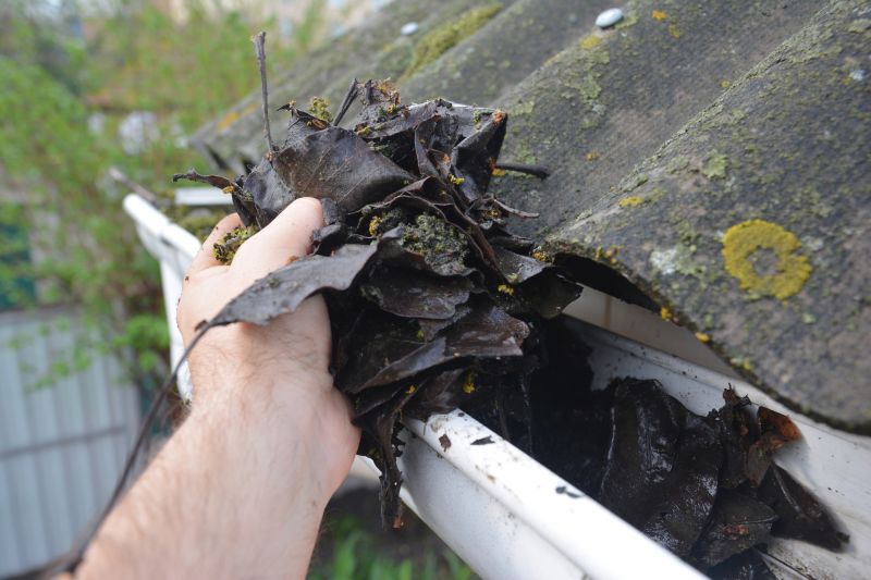 Downspout Cleaning in Annapolis, MD