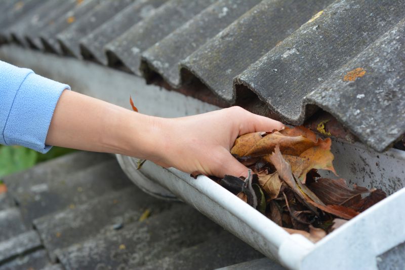 Gutter Leaves Removal in Baltimore, MD