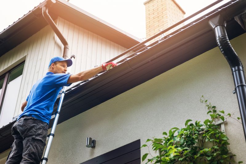 Gutter Maintenance in Longmont, CO