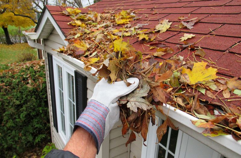 Rain Gutter Clearing in Richmond, VA