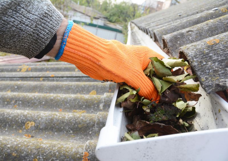 Roof Gutter Cleaning in Bergen County, NJ